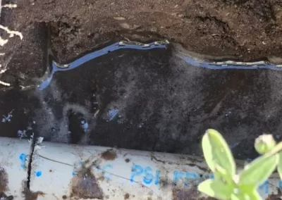 Reputable Lawn Sprinkler System Contractor