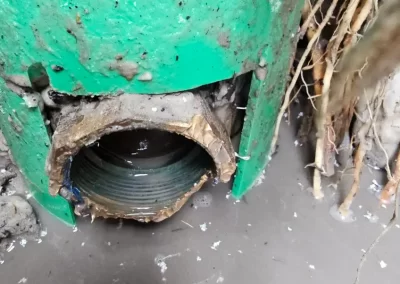 Trusted Irrigation Services