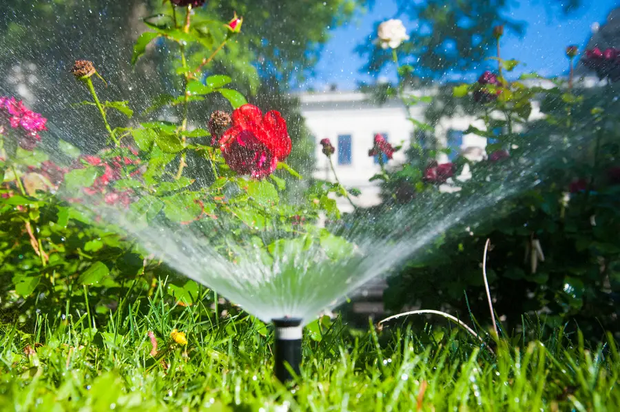 Why Professional Sprinkler Installation Ensures Long-term Performance Kissimmee, FL